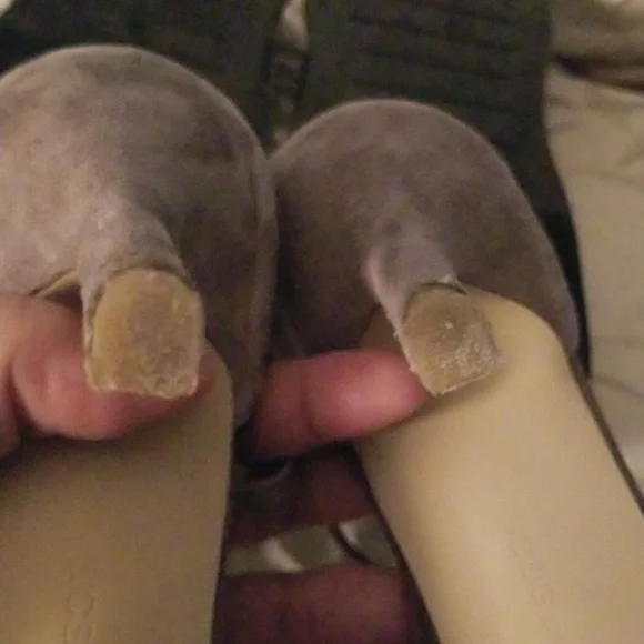 ☆☆Final Price☆☆ BCBGeneration Gray Suede Ankle Strap Heels Size 10M - Picture 7 of 10